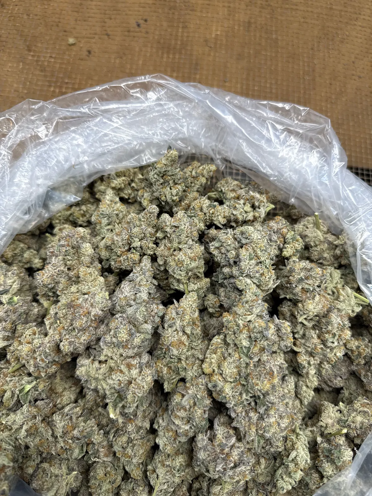 Permanent Marker Flower